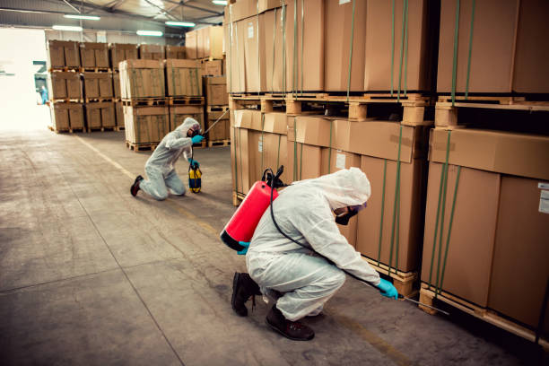 Best Emergency Pest Control  in Watertown, WI