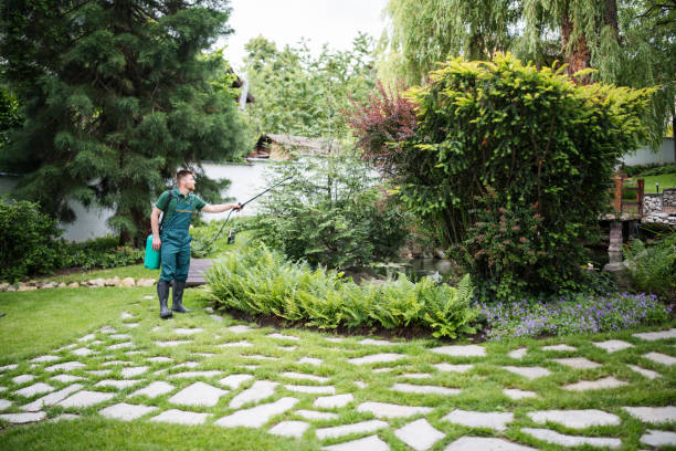 Best Affordable Pest Control Services  in Watertown, WI