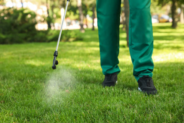 Best Pest Removal Services  in Watertown, WI