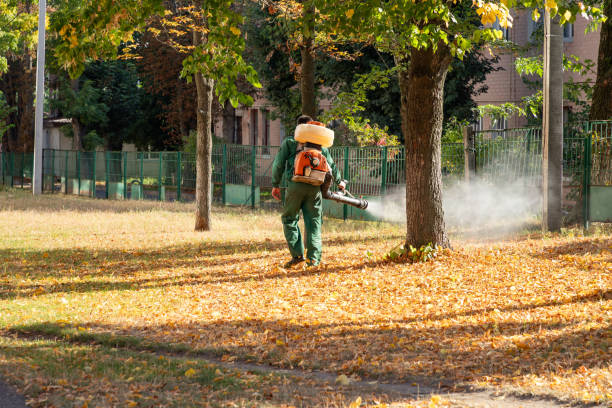 Best Residential Pest Control  in Watertown, WI