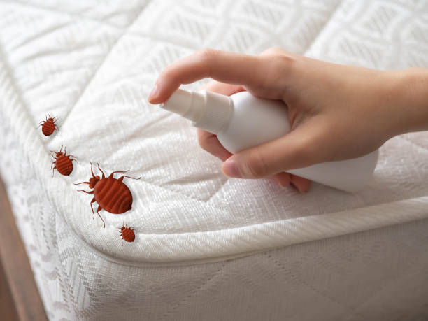 Best Local Pest Control Services  in Watertown, WI