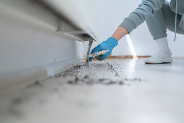 Best Best Pest Control Companies  in Watertown, WI